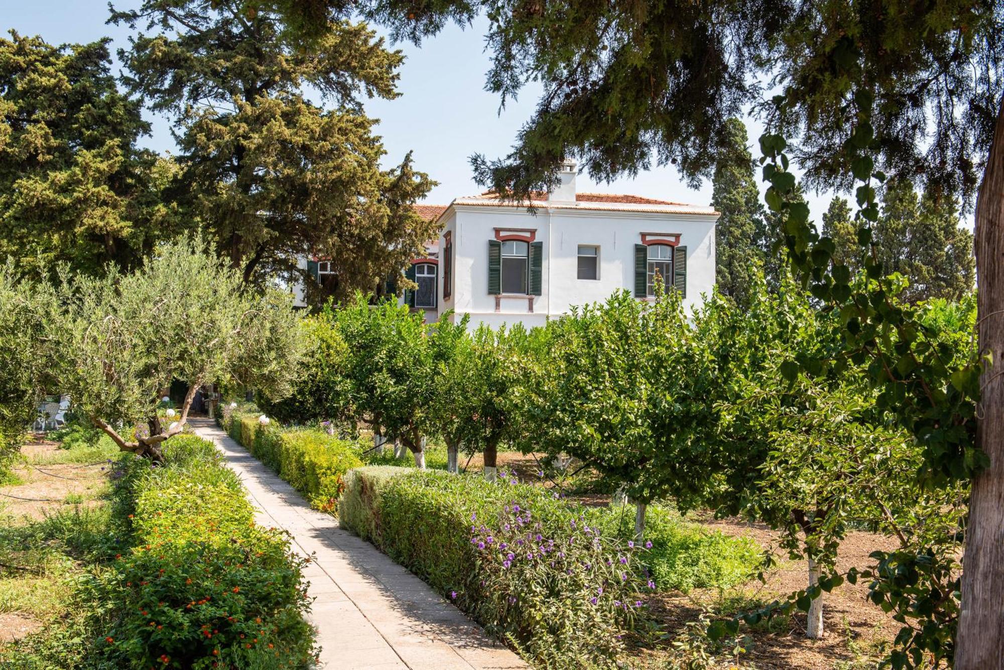 Calvocoressi Estate 치오스 외부 사진