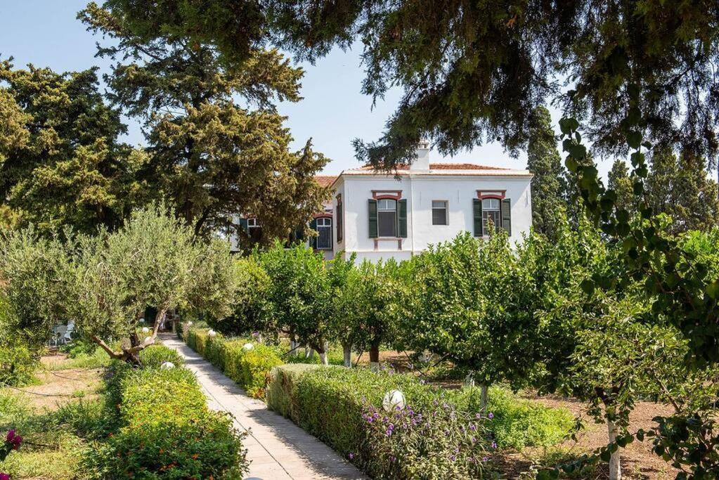 Calvocoressi Estate 치오스 외부 사진